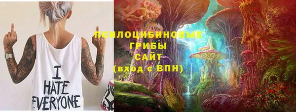 эйфоретик Новозыбков